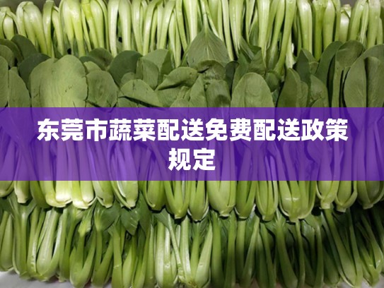 东莞市蔬菜配送免费配送政策规定
