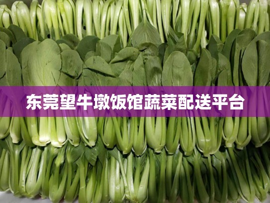 东莞望牛墩饭馆蔬菜配送平台