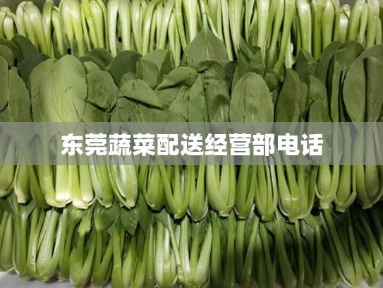 东莞蔬菜配送经营部电话