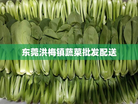 东莞洪梅镇蔬菜批发配送