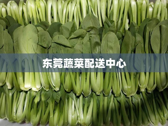 东莞蔬菜配送中心