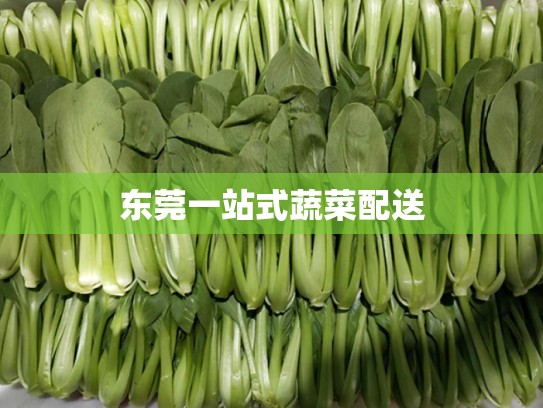 东莞一站式蔬菜配送