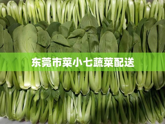 东莞市菜小七蔬菜配送