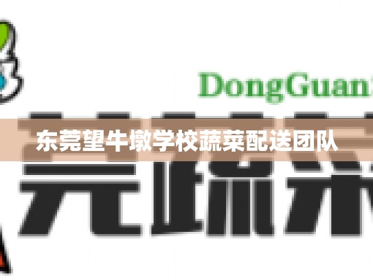东莞望牛墩学校蔬菜配送团队