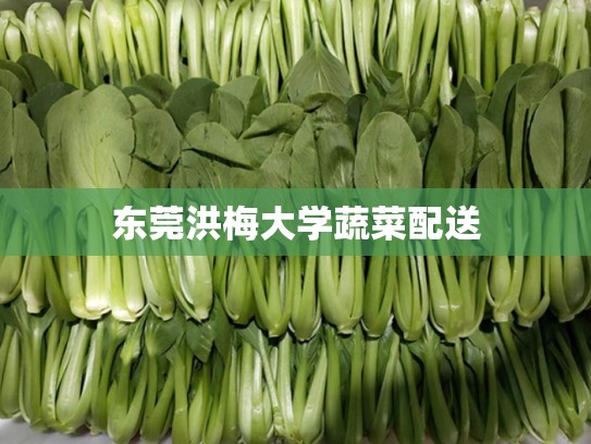 东莞洪梅大学蔬菜配送