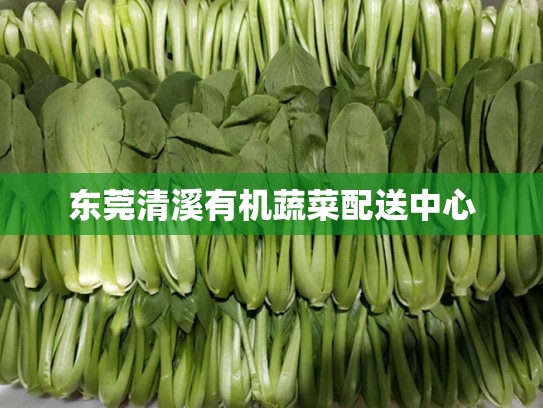 东莞清溪有机蔬菜配送中心