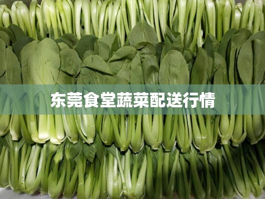 东莞食堂蔬菜配送行情