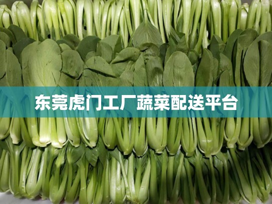 东莞虎门工厂蔬菜配送平台