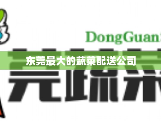 东莞最大的蔬菜配送公司