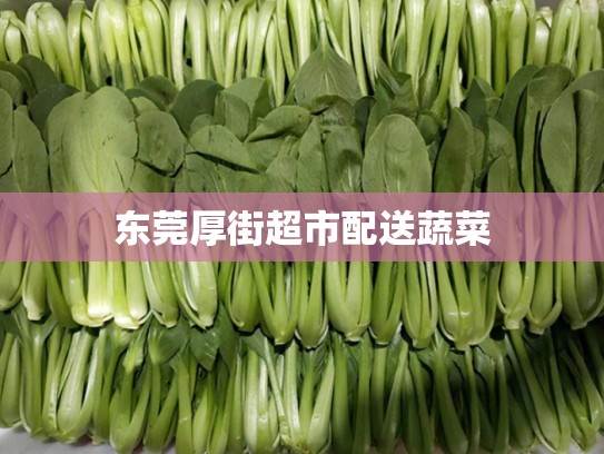东莞厚街超市配送蔬菜