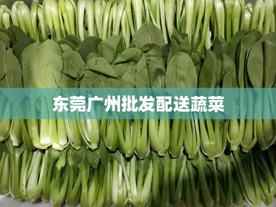 东莞广州批发配送蔬菜