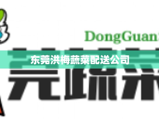 东莞洪梅蔬菜配送公司