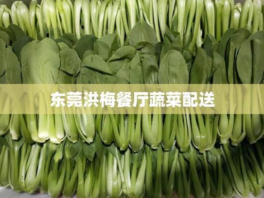 东莞洪梅餐厅蔬菜配送
