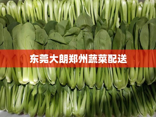 东莞大朗郑州蔬菜配送
