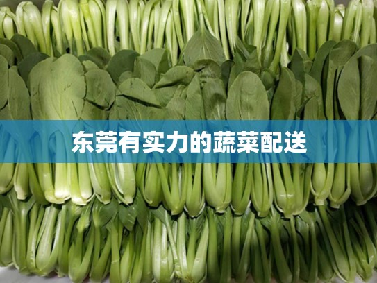 东莞有实力的蔬菜配送