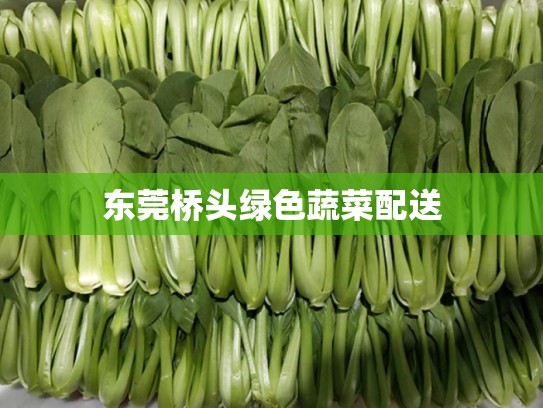 东莞桥头绿色蔬菜配送