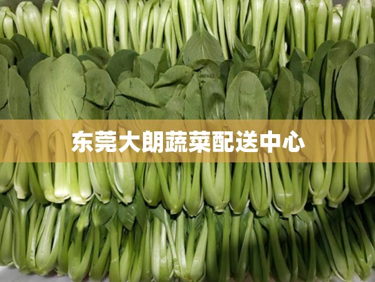 东莞大朗蔬菜配送中心