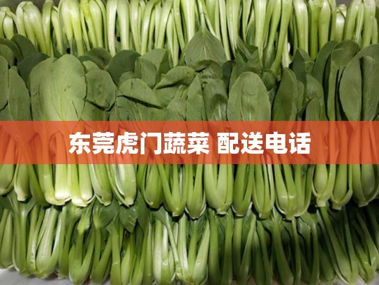 东莞虎门蔬菜 配送电话