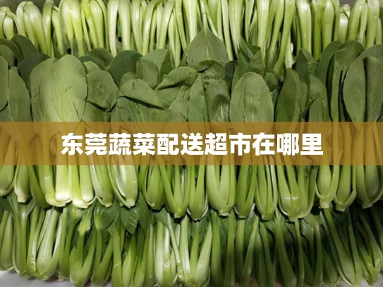 东莞蔬菜配送超市在哪里