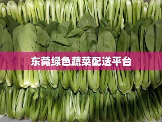 东莞绿色蔬菜配送平台