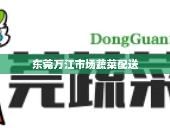 东莞万江市场蔬菜配送