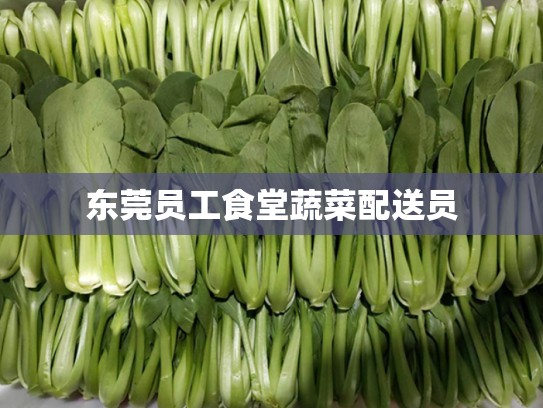 东莞员工食堂蔬菜配送员