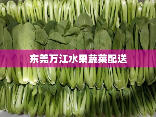 东莞万江水果蔬菜配送
