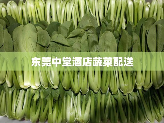 东莞中堂酒店蔬菜配送