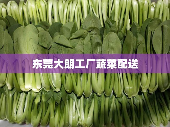 东莞大朗工厂蔬菜配送