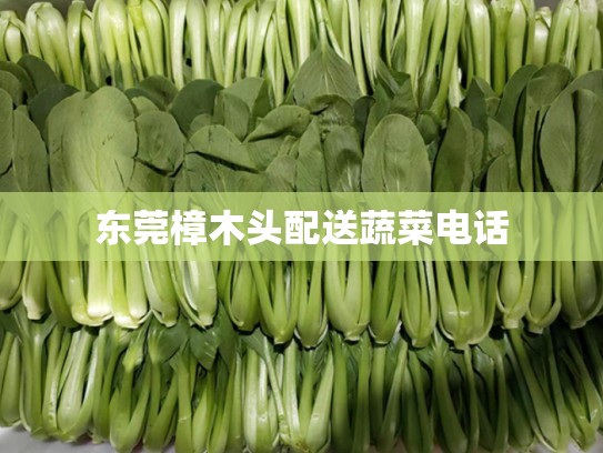 东莞樟木头配送蔬菜电话