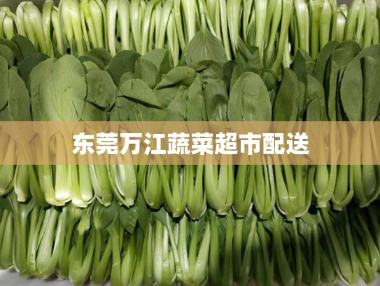 东莞万江蔬菜超市配送