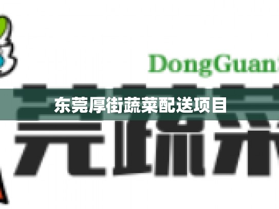 东莞厚街蔬菜配送项目