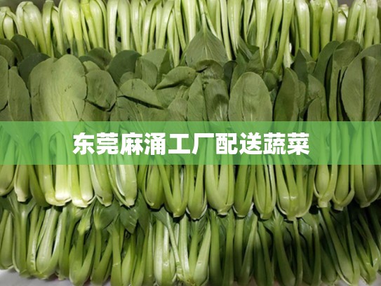 东莞麻涌工厂配送蔬菜