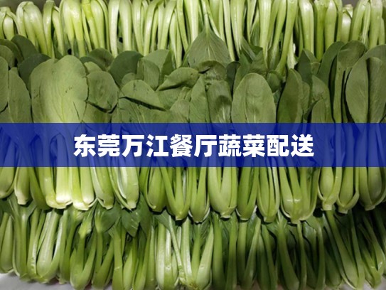 东莞万江餐厅蔬菜配送