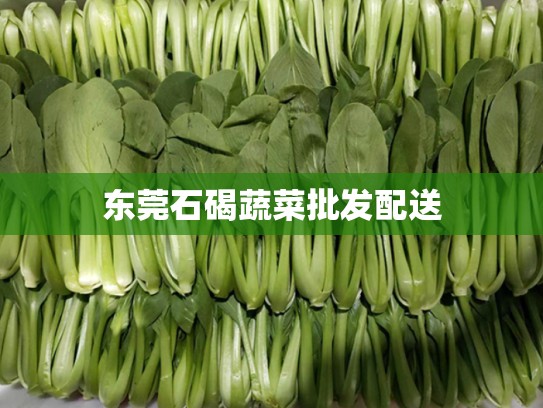 东莞石碣蔬菜批发配送