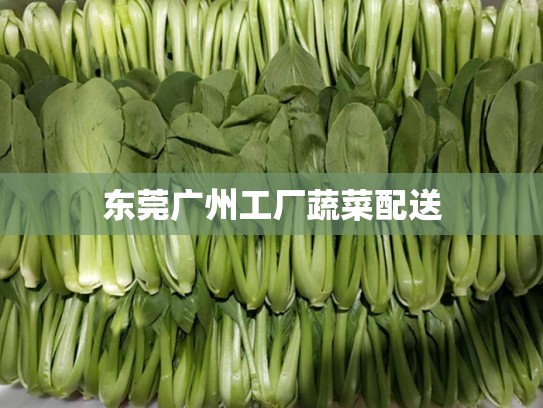 东莞广州工厂蔬菜配送