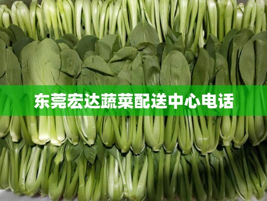 东莞宏达蔬菜配送中心电话
