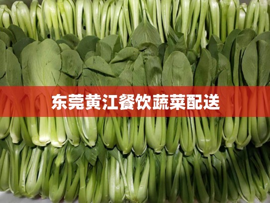 东莞黄江餐饮蔬菜配送