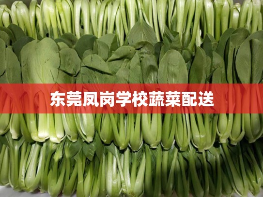 东莞凤岗学校蔬菜配送