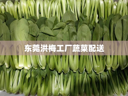 东莞洪梅工厂蔬菜配送