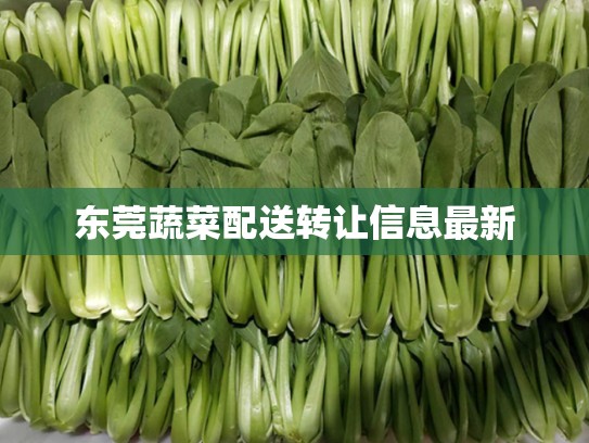 东莞蔬菜配送转让信息最新