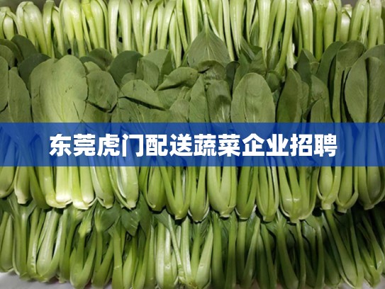 东莞虎门配送蔬菜企业招聘