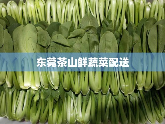 东莞茶山鲜蔬菜配送