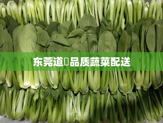 东莞道滘品质蔬菜配送