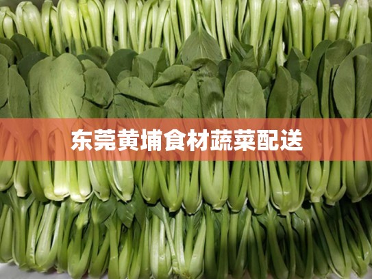 东莞黄埔食材蔬菜配送
