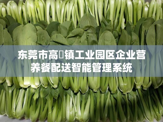 东莞市高埗镇工业园区企业营养餐配送智能管理系统