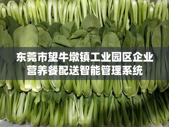 东莞市望牛墩镇工业园区企业营养餐配送智能管理系统