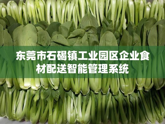 东莞市石碣镇工业园区企业食材配送智能管理系统