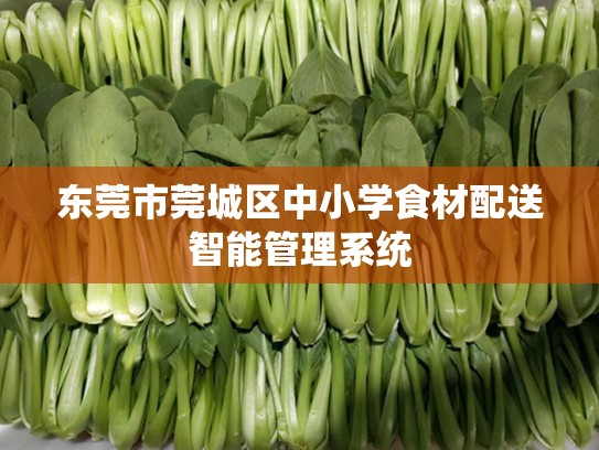 东莞市莞城区中小学食材配送智能管理系统