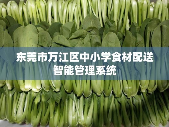 东莞市万江区中小学食材配送智能管理系统